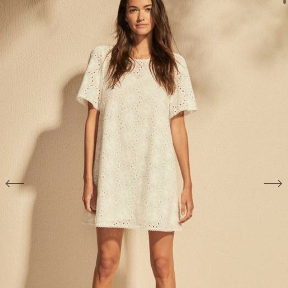 ISO aaliyah mini dress